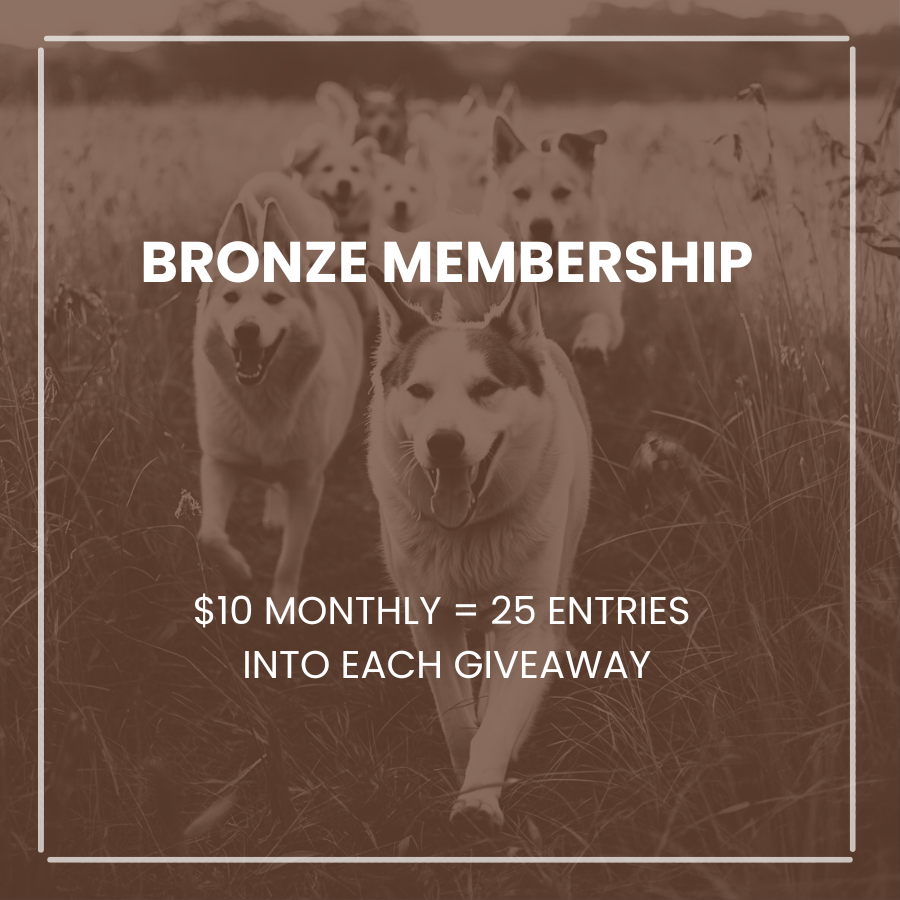 Bronze Membership